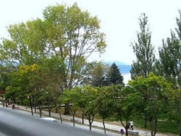Piso en Avenida da Xunqueira, 58 - Foto 10