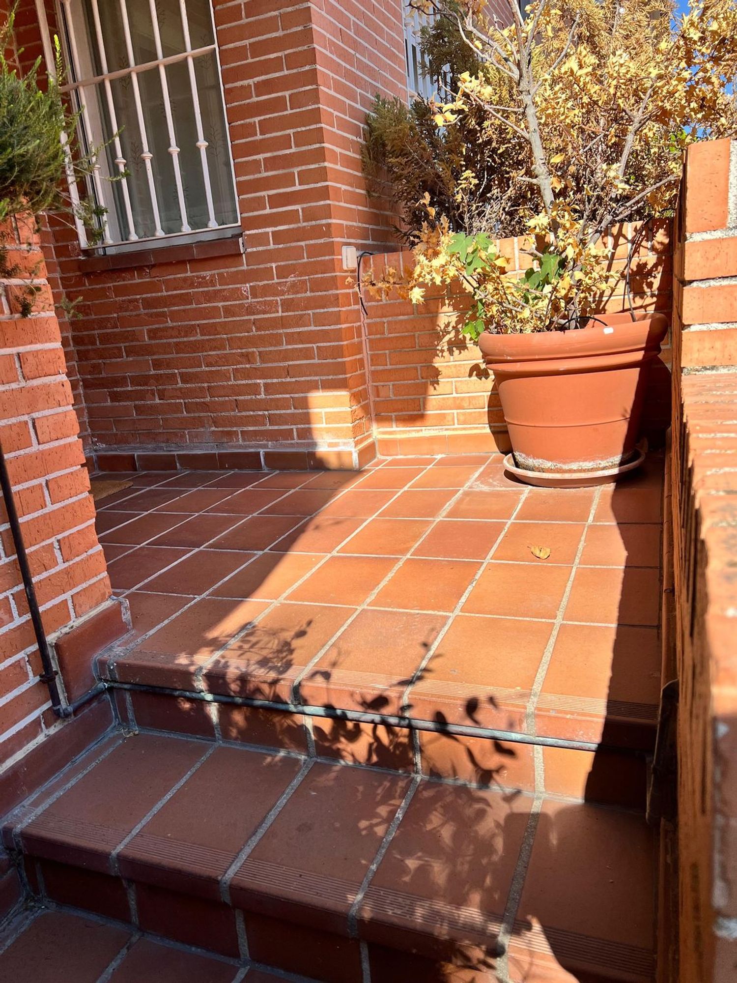 Chalet adosado en calle de Arévalo Lara, 41 - Foto 3