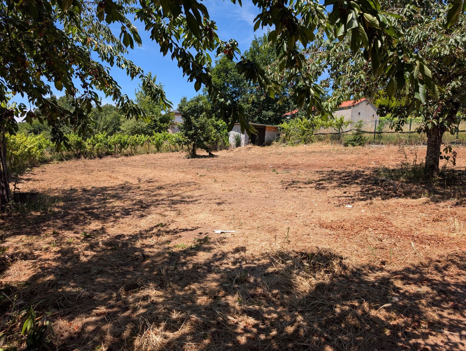 Finca rústica en Vilar da Ponte, 24 - Foto 10