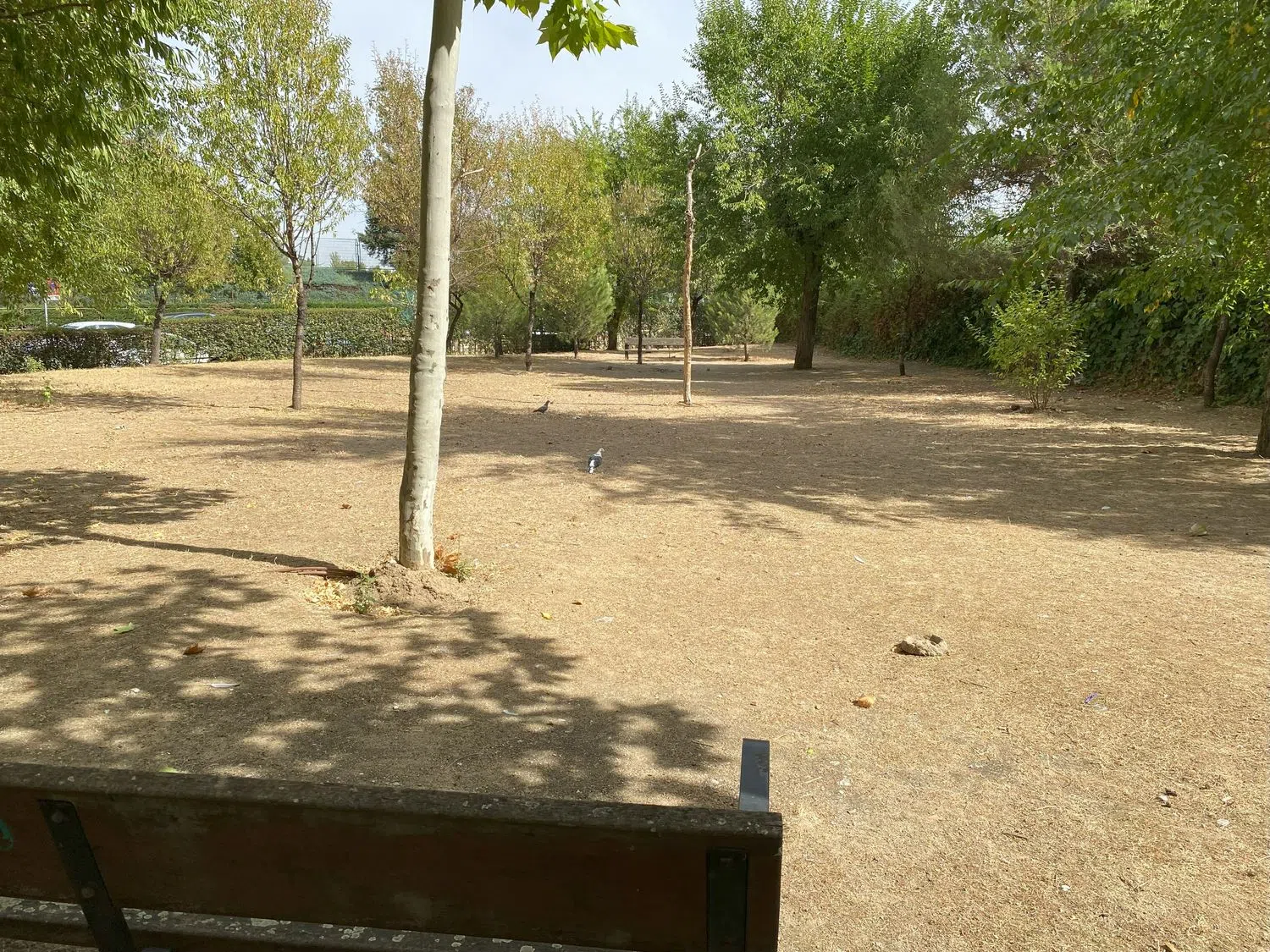 Piso en calle de los Yébenes, 47 - Foto 38