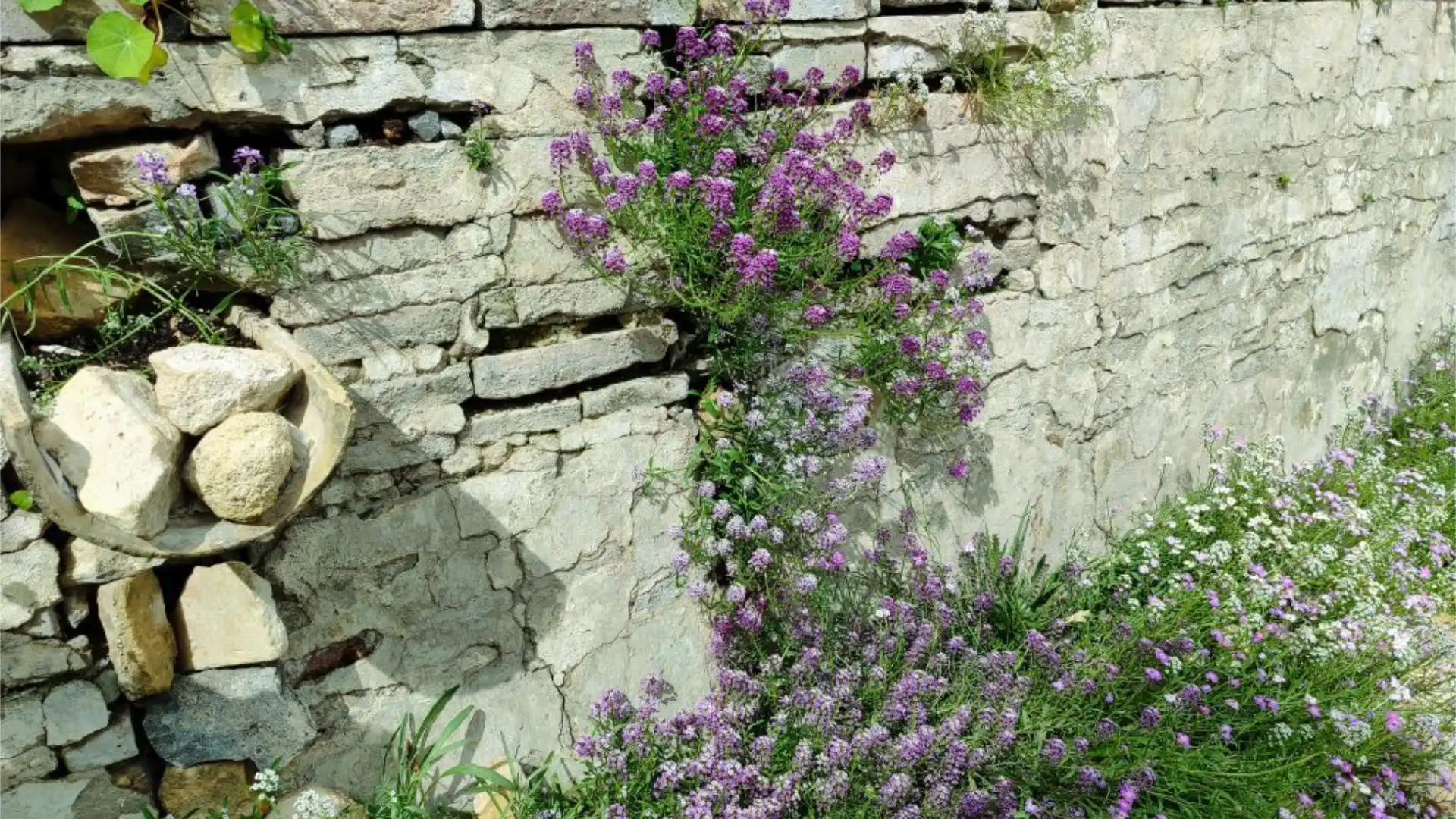 Chalet en  Calle María Nicolasa 9 - Foto 31