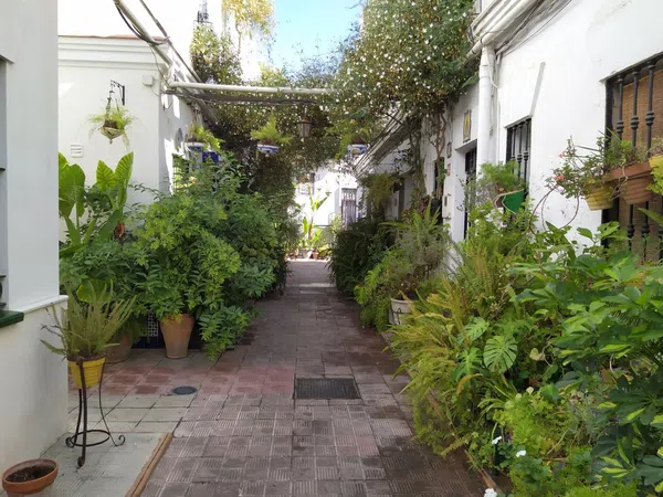 Dúplex en Calle Castilla, 16, Calle Betis - Pagés del Corro - Foto 1