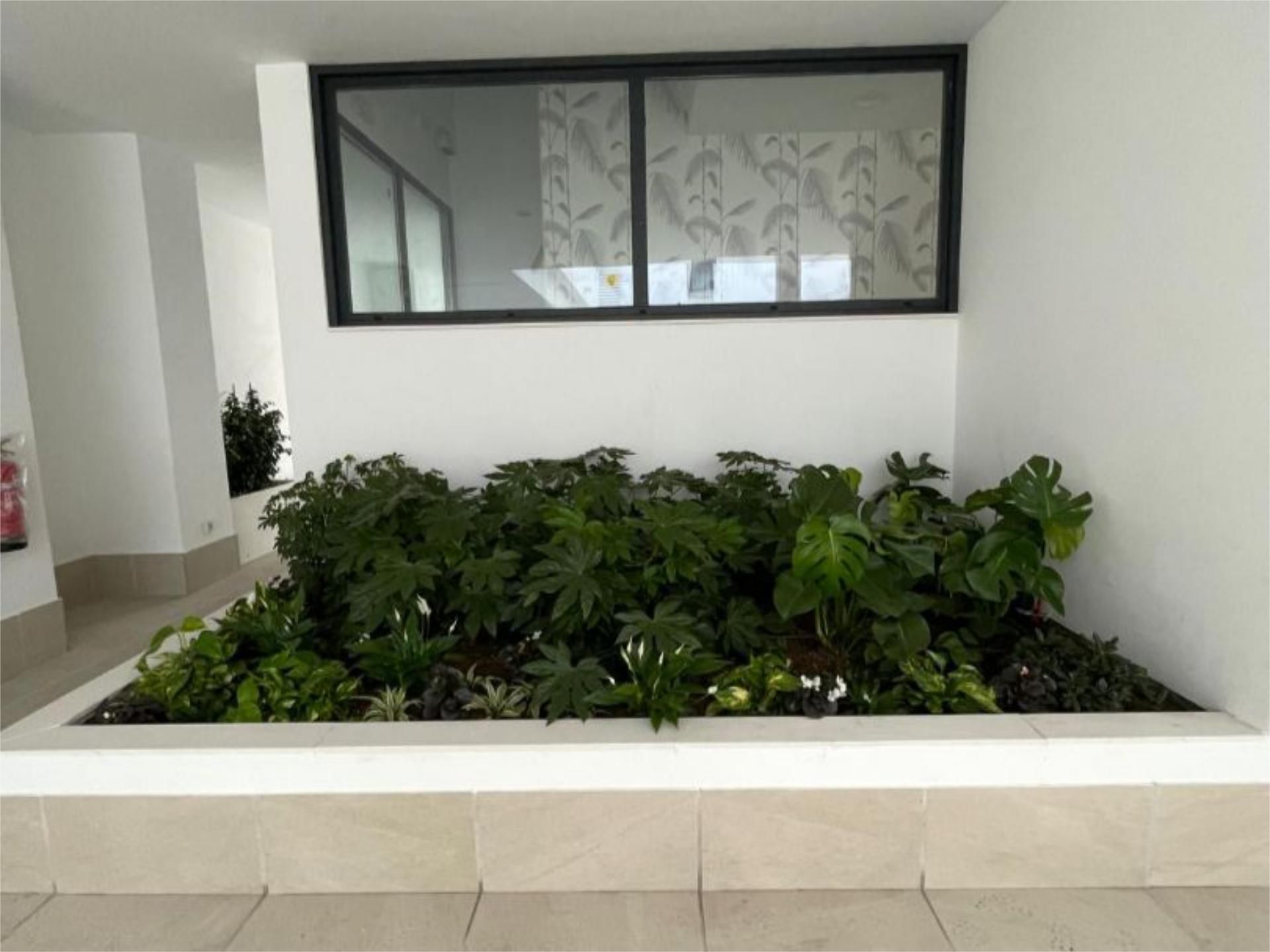 Piso en  Calle Diego Lara Valle 3 - Foto 8