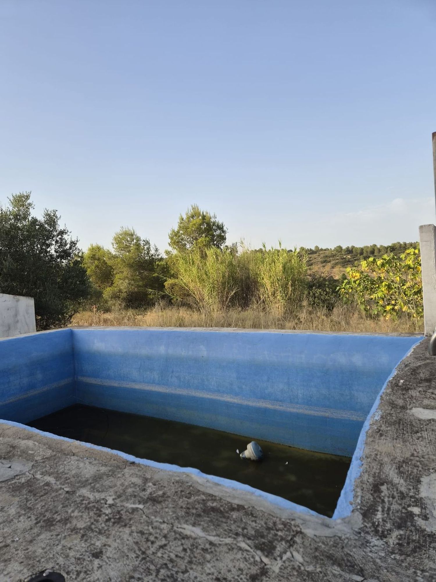 Finca rústica en Plaza Numero 3, 148, Las Pedrizas, Las Pedrizas - Foto 25