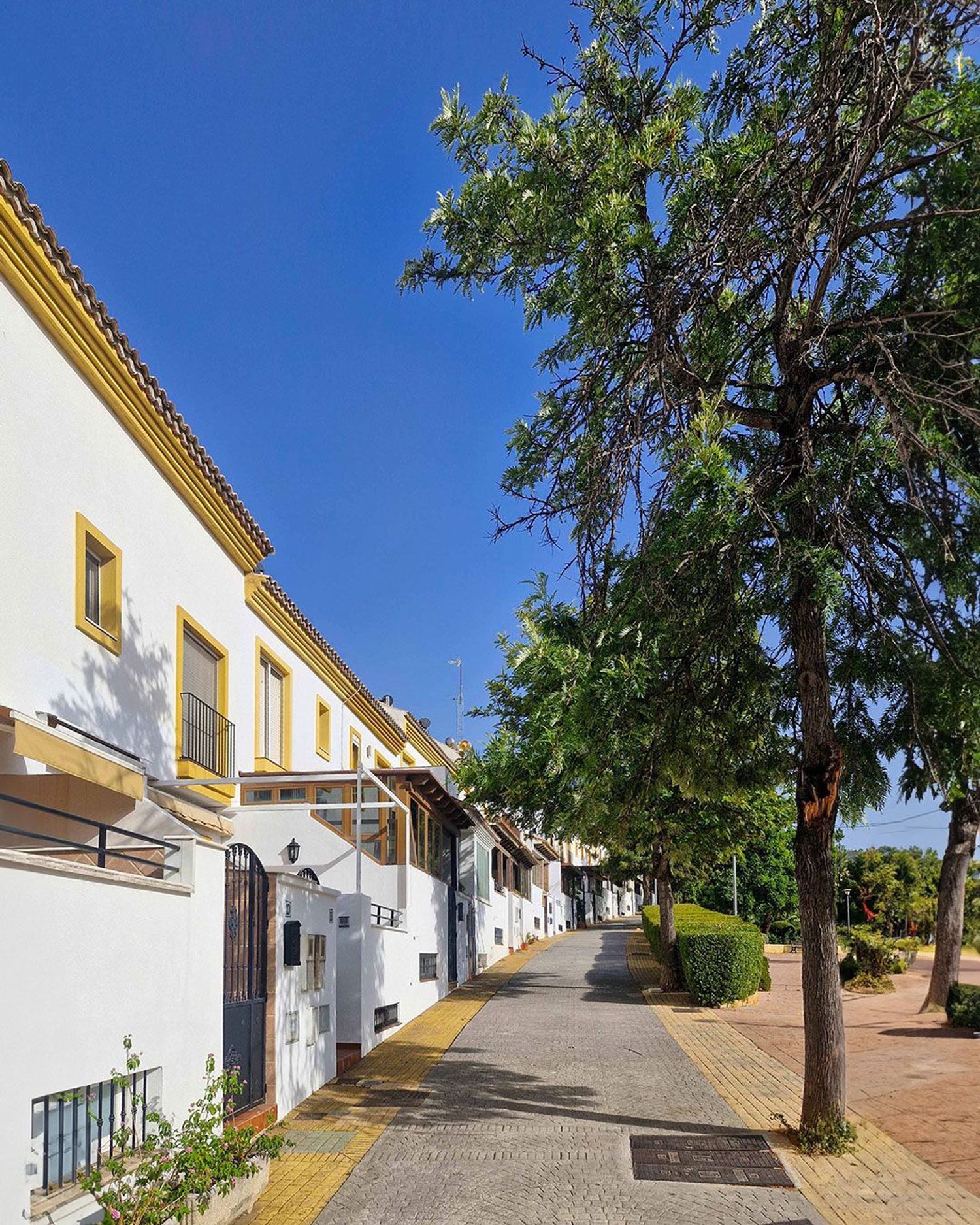 Chalet adosado en Zona Calvario, Zona Calvario - Foto 2