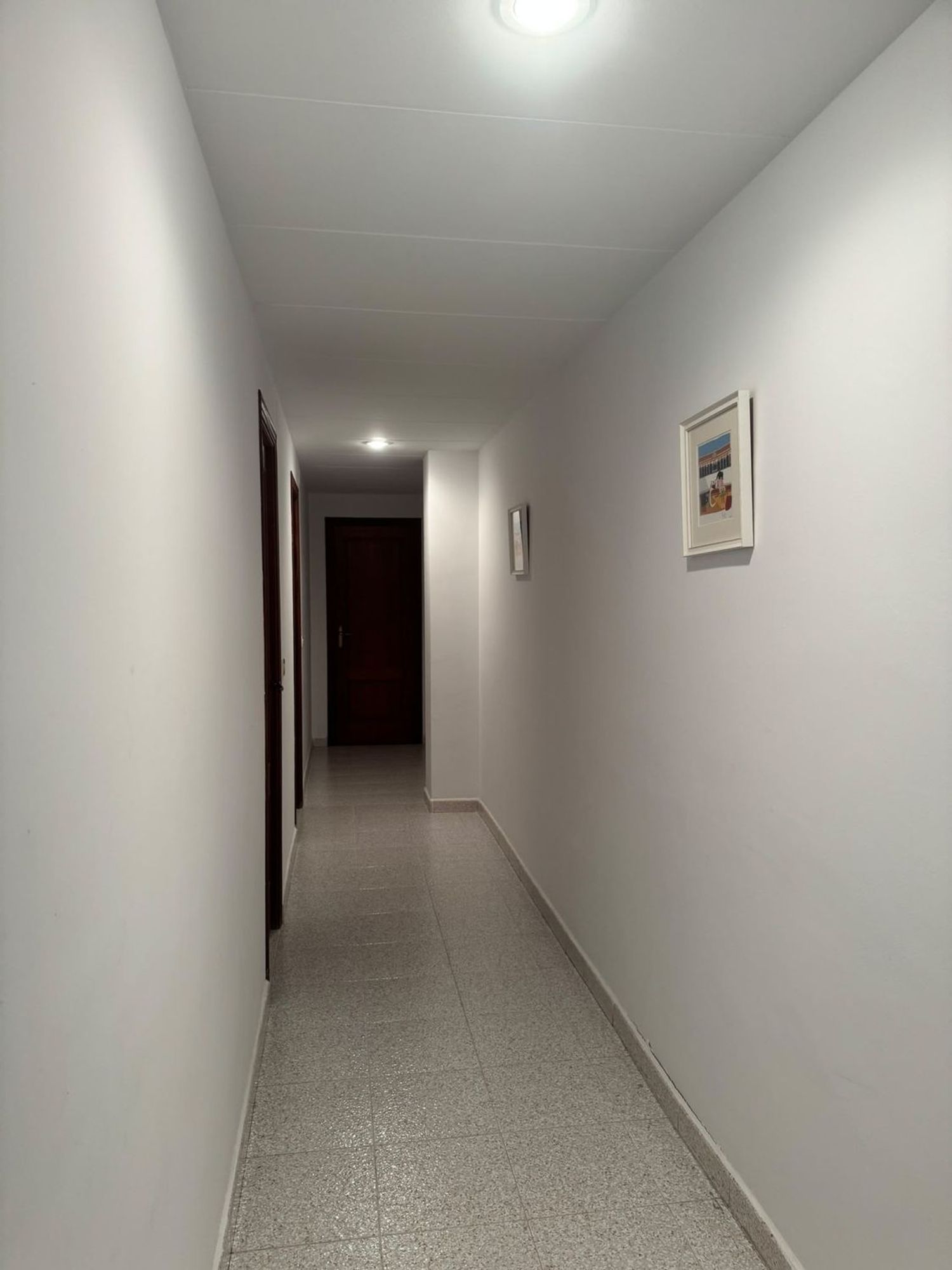 Piso en Calle Riu Sénia, 2, Les Palmeres, Les Palmeres - Foto 23