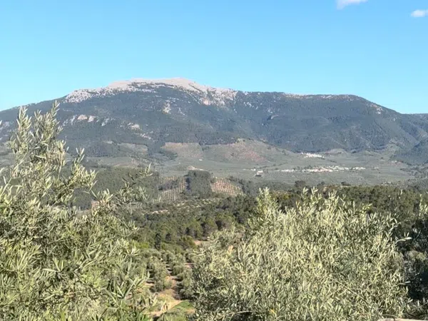 Casa de pueblo en Jaén, 699716549 - Foto 6