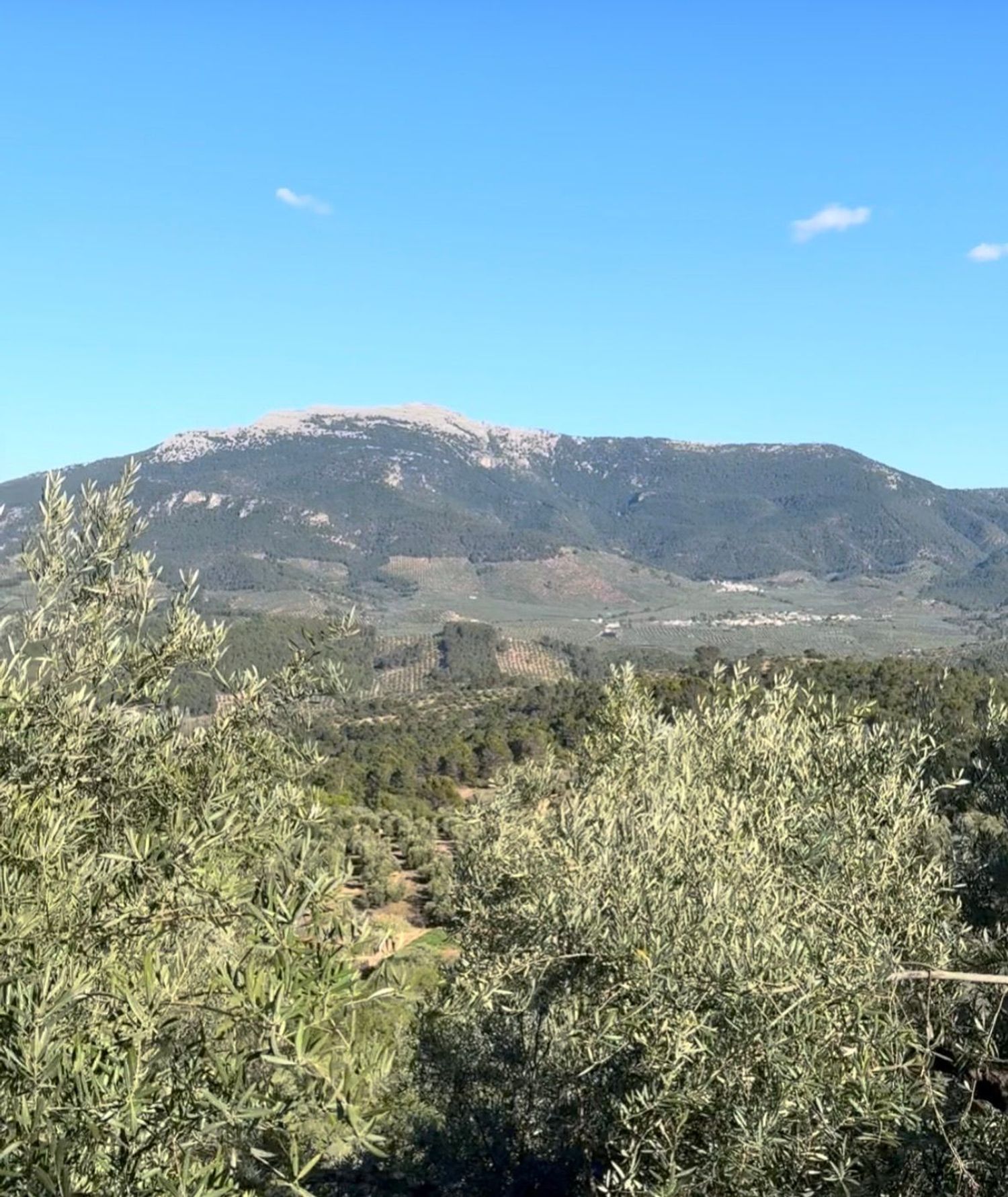 Casa de pueblo en Jaén, 699716549 - Foto 6