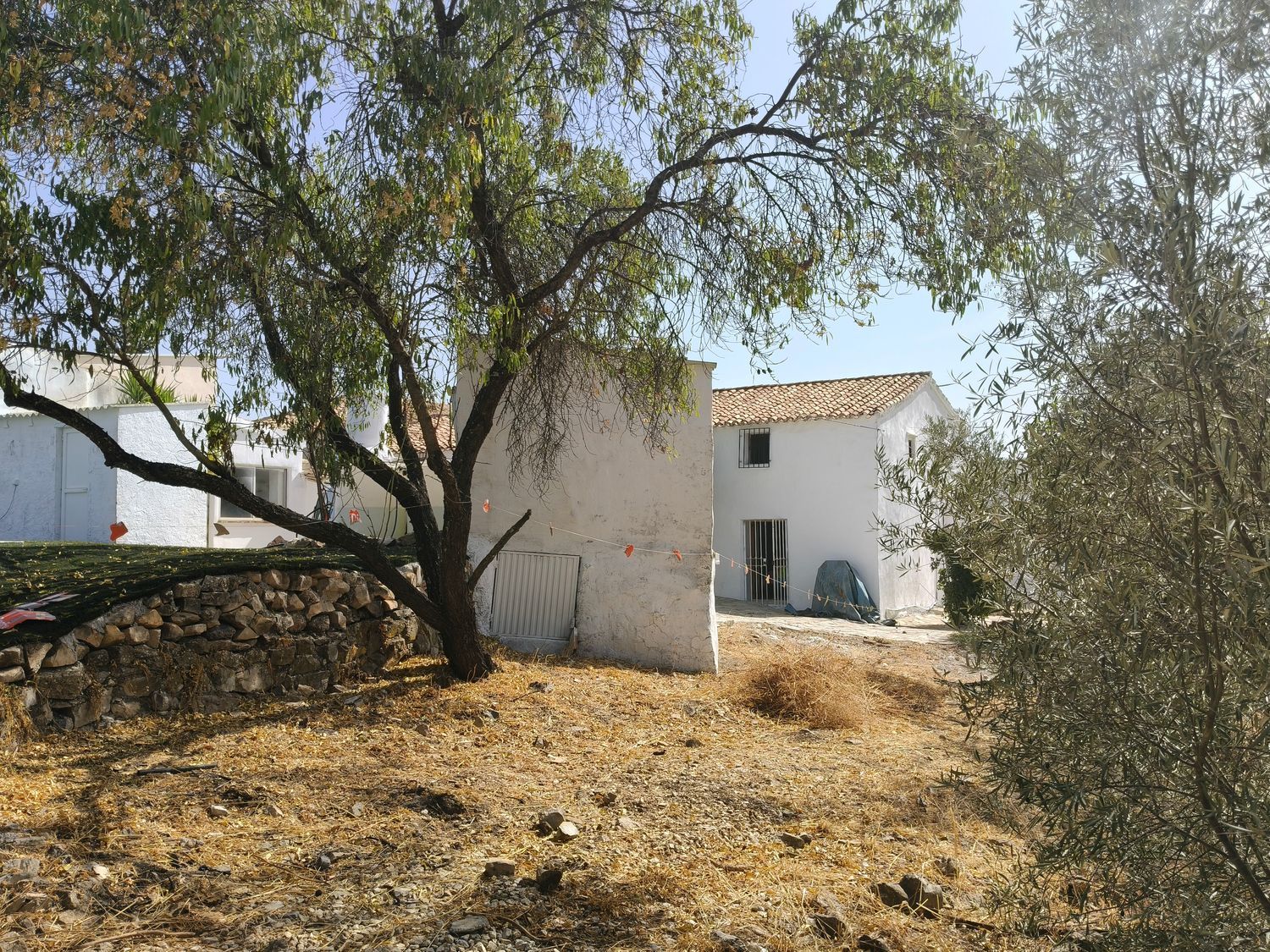 Cortijo en Cortijo en Diseminado Extrarradio, 117 - Foto 17
