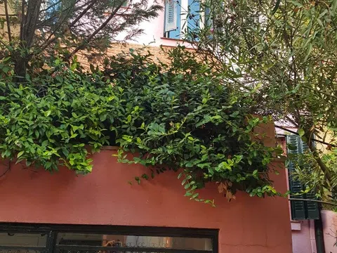 Chalet adosado en calle Siete Picos, 9