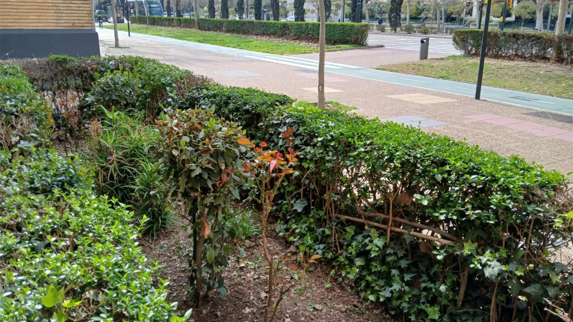 Piso en  Grupo Alférez Rojas II 11 - Foto 16