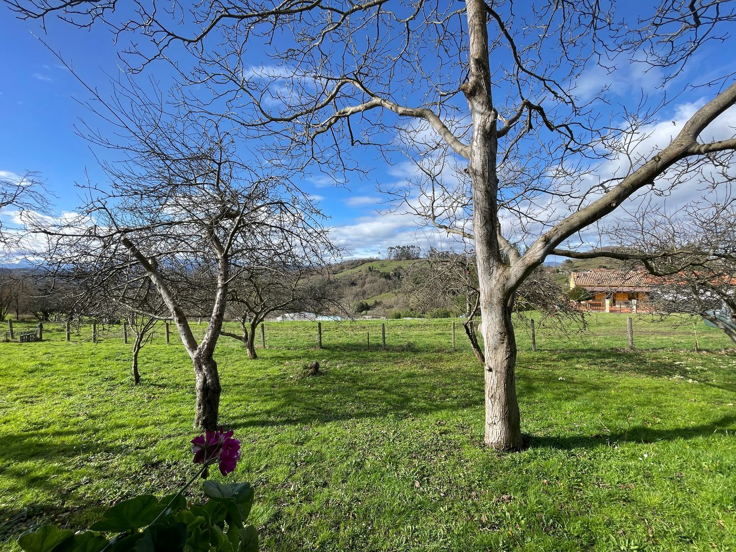 Casa de pueblo en Aldea Castiello, 57 - Foto 38