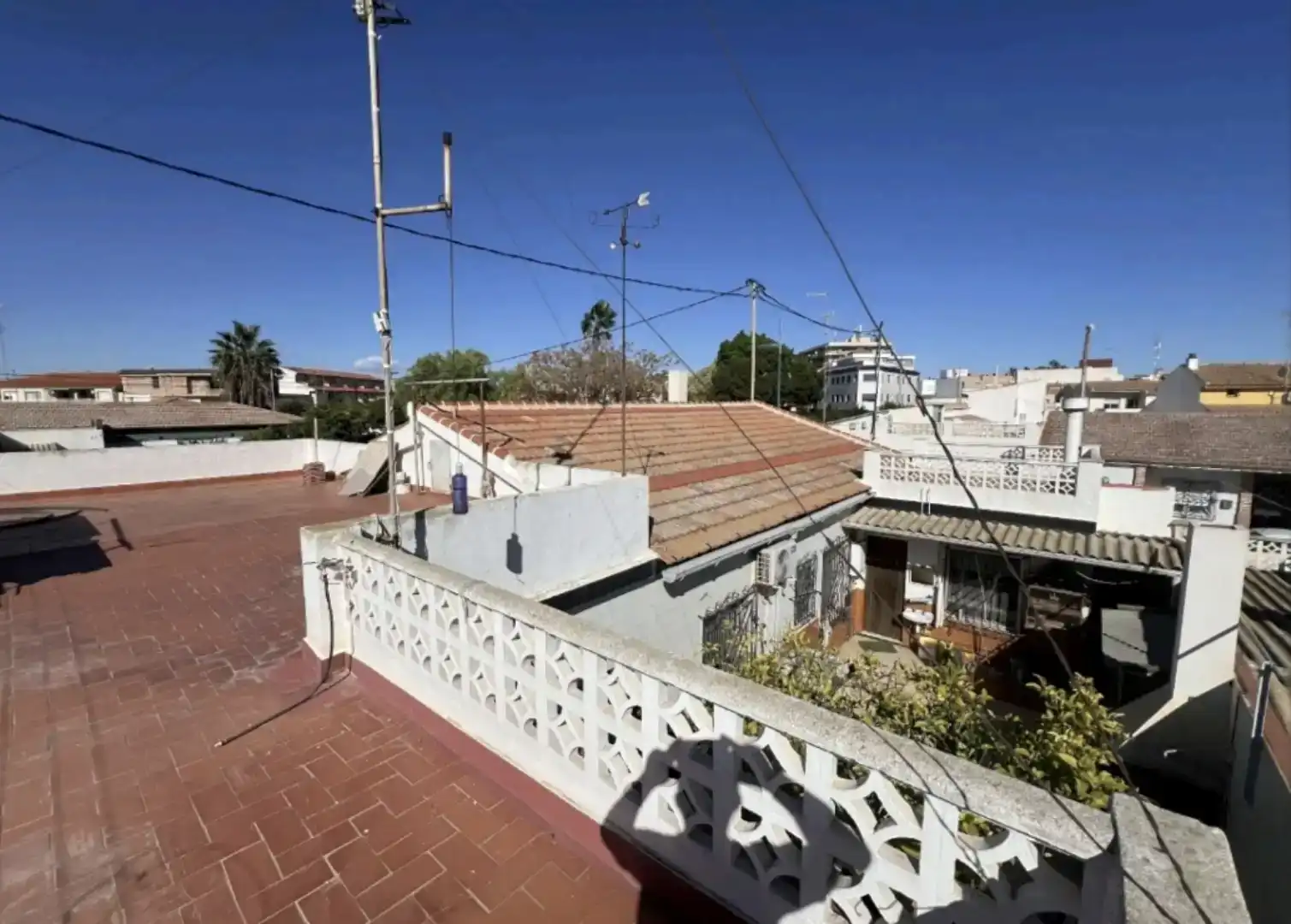 Planta baja en  Avenida del Taibilla 17 - Foto 15