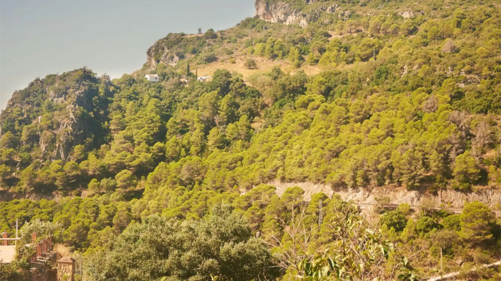 Finca rústica en  Carretera Ma-8300 a-7 a Casares 44 - Foto 6