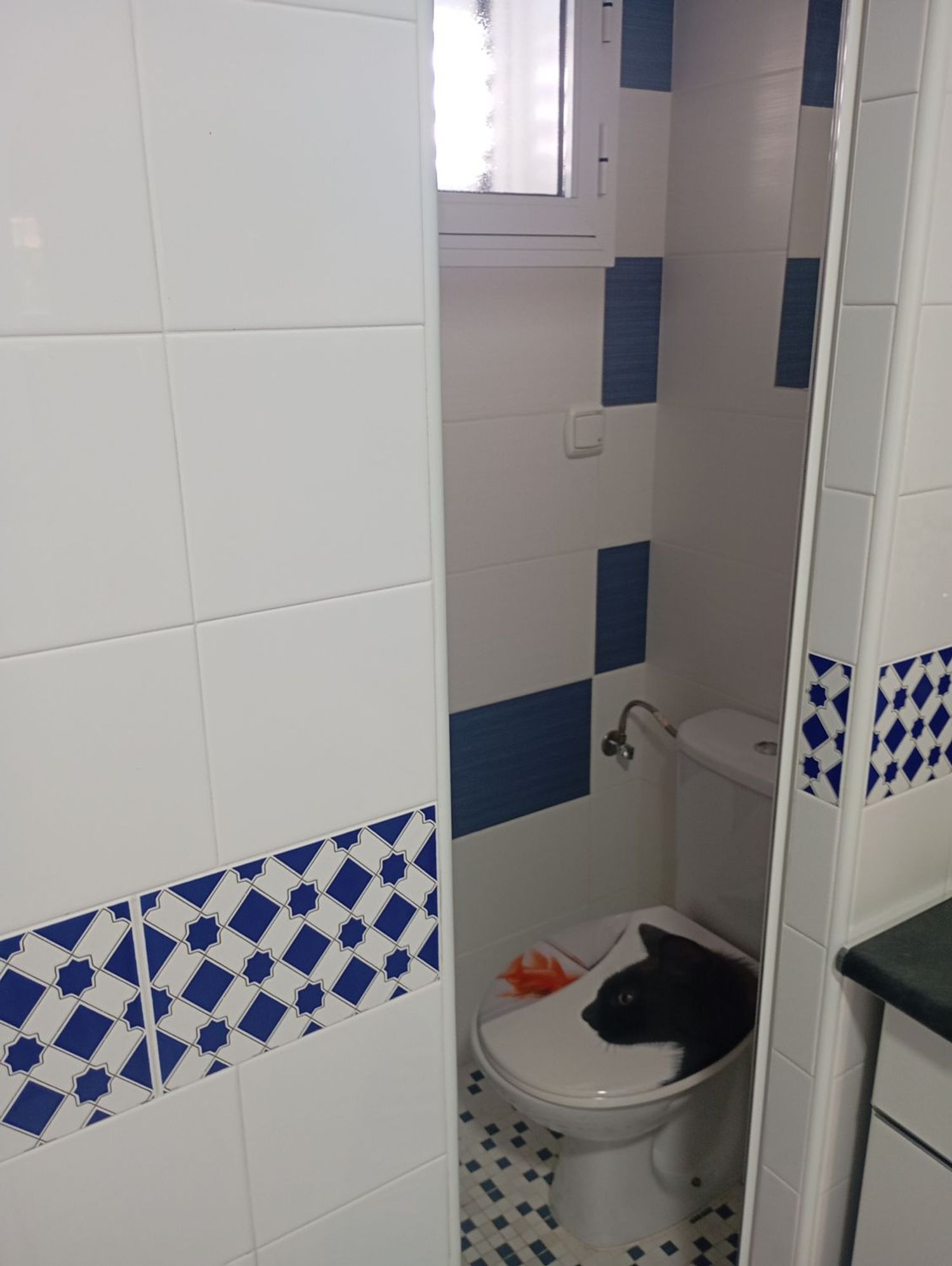 Piso en Calle Londres, 1 ManzanaBloque, Nueva Torrevieja - Foto 7