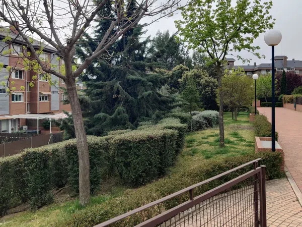 Piso en calle Murillo, 2 - Foto 28