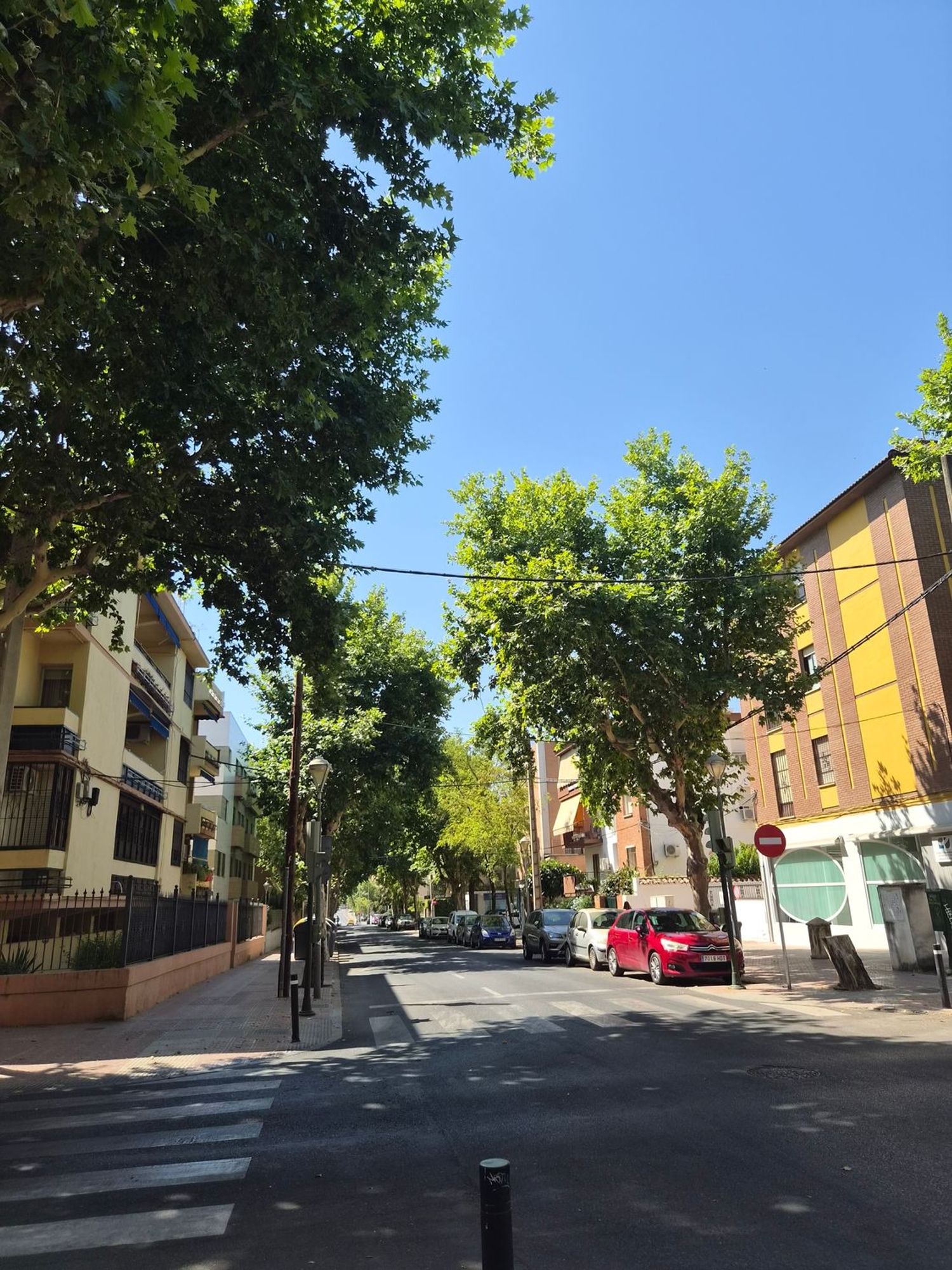 Piso en Calle el Nogal, 8, Santa Rosa - San José - Foto 6