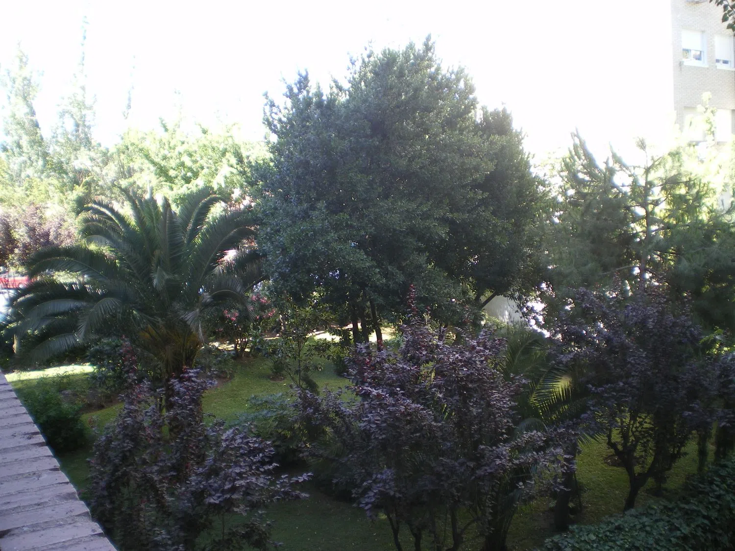 Piso en avenida de Las Águilas, 67 - Foto 3