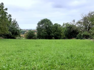 Terreno Residencial en  Lamadrid-Radillo 1 - Foto 7