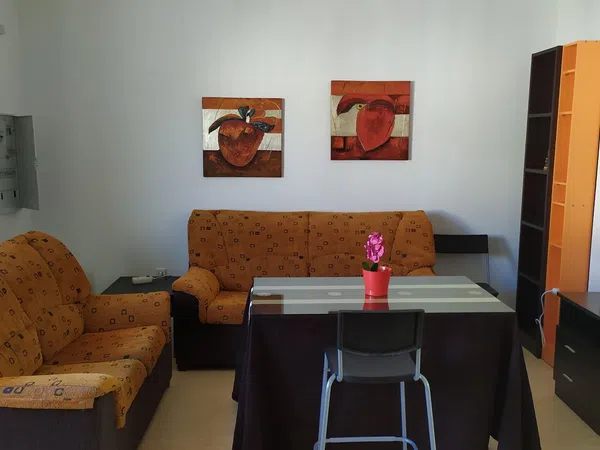 Estudio en Calle los Olivos, 5 - Foto 17