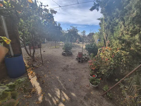 Cortijo en Los Vargas s/n - Foto 10
