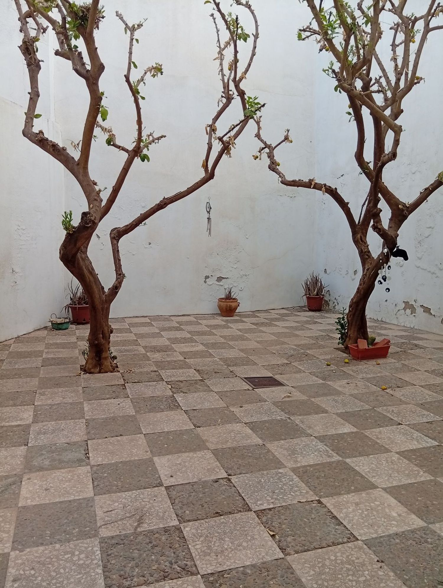 Estudio en Calle Relator, 37, Feria - Foto 6