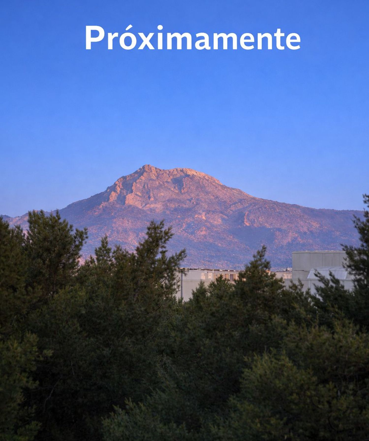 Piso en avenida Historiador Vicente Ramos, 28