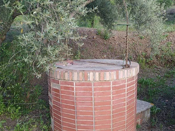 Finca rústica en Diseminado, 600500 Vf07h - Foto 30