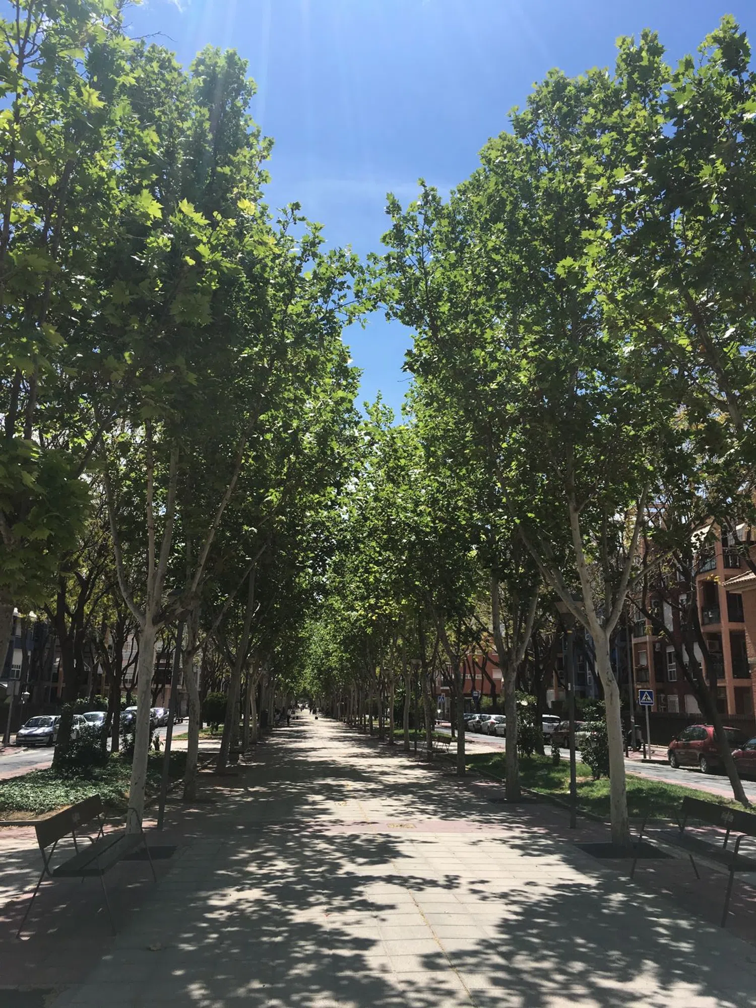 Piso en paseo Duques de Lugo, 26 - Foto 10