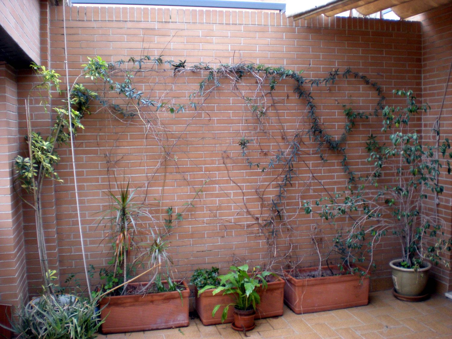 Ático en Calle Pinta, 40, Arroyo - Santa Justa - Foto 3