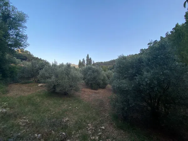 Finca rústica en Sn s/n - Foto 23