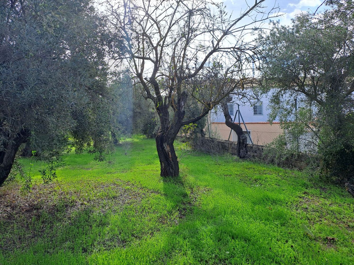 Casa de pueblo en Banyeres de Mariola - Foto 16