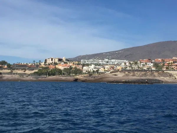 Piso en Calle Roque de los Muchachos, 13, Playa del Duque - Foto 9