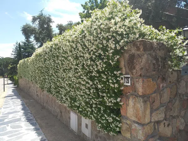 Casa independiente en Urb. monte alina Barrio Montealina - Foto 24