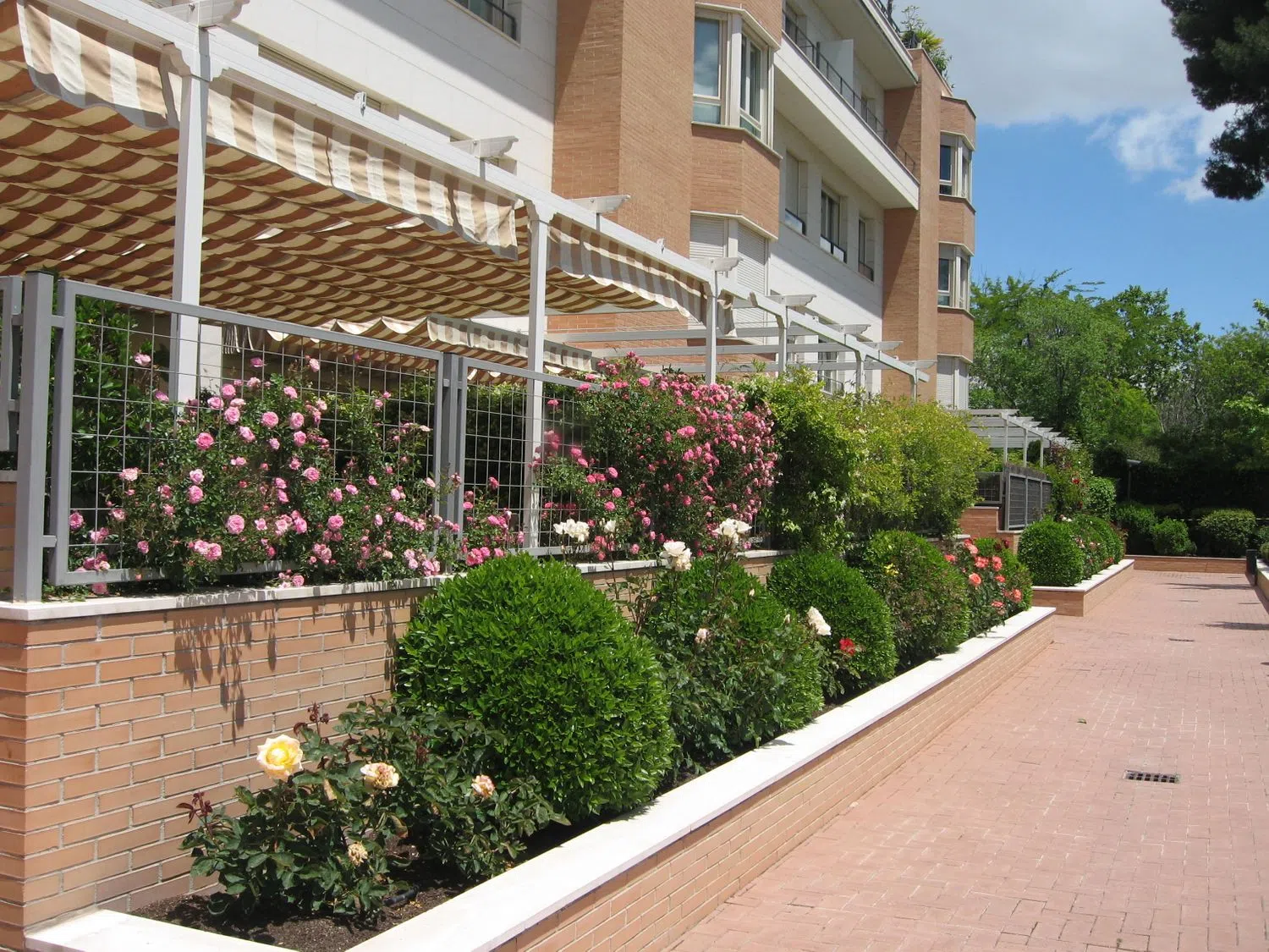 Piso en calle Fernán Núñez, 39 - Foto 3