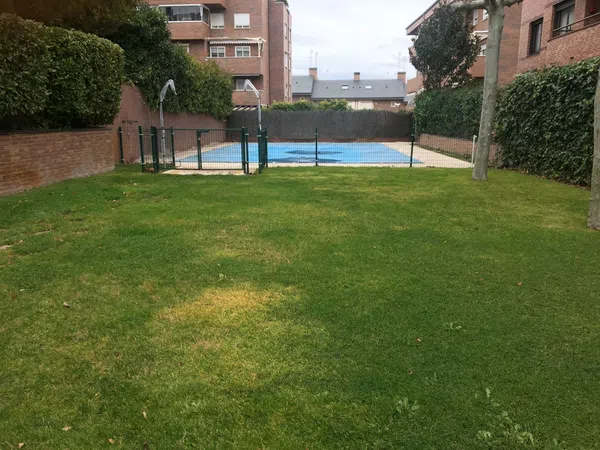 Piso en Calle Ruperto Chapí, 14 , piso 2, Sector S, Sector S - Foto 11