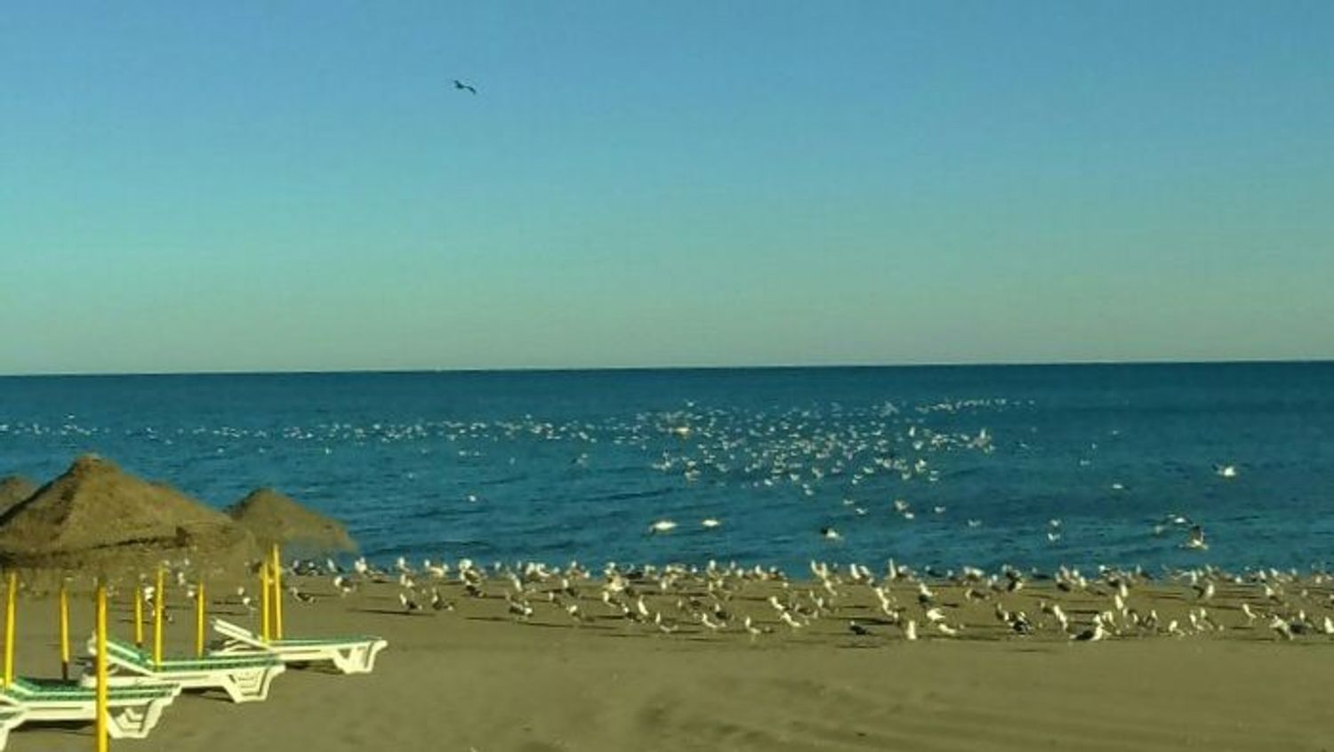 Piso en calle Trocadero, 1 - Foto 21