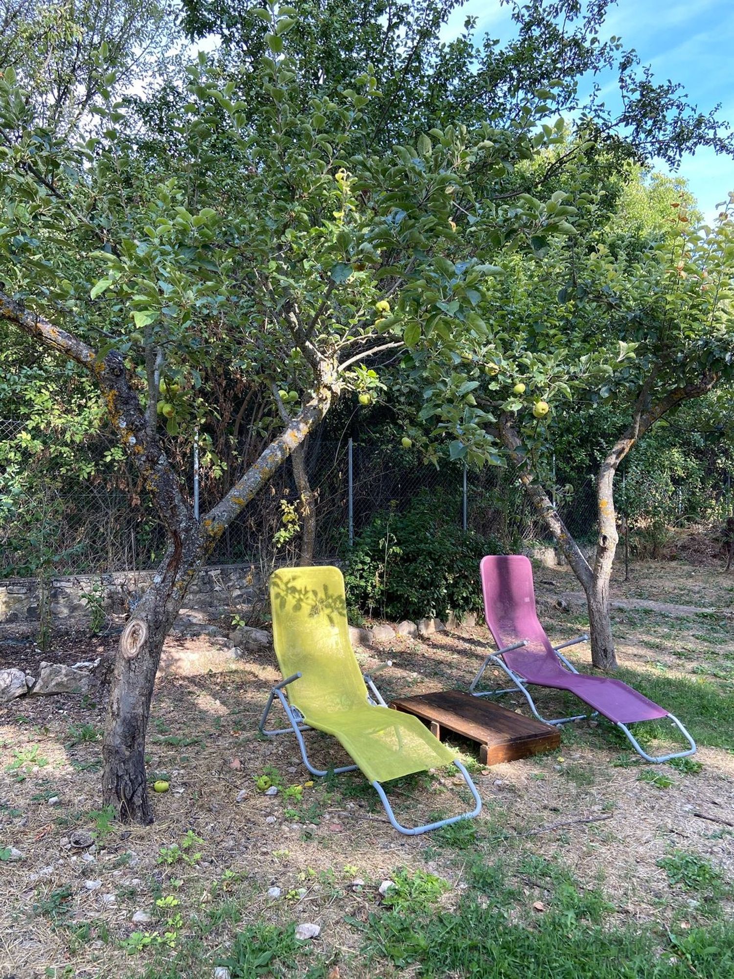 Casa rural en Sigüenza - Foto 5