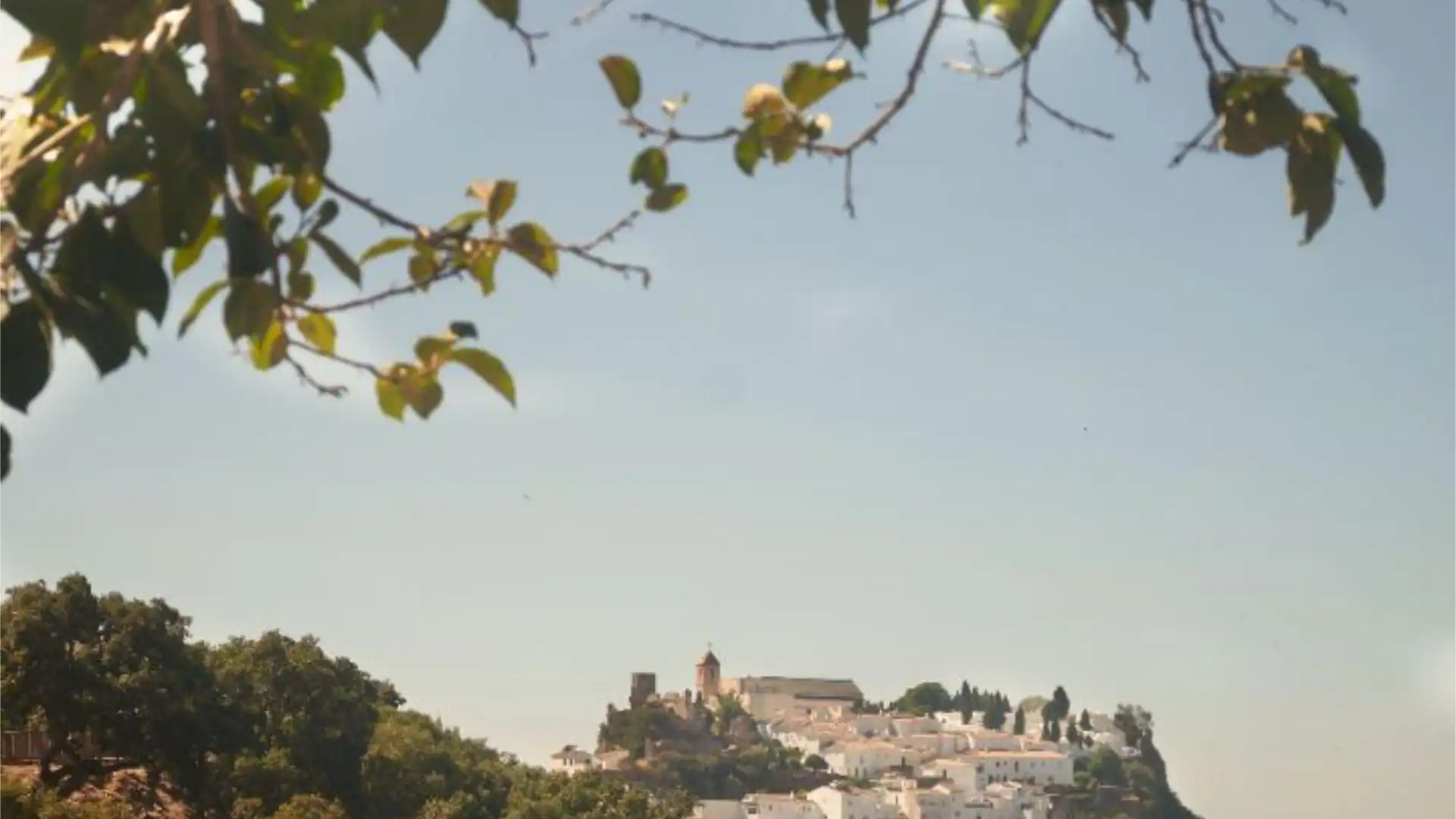 Finca rústica en  Carretera Ma-8300 a-7 a Casares 44 - Foto 1