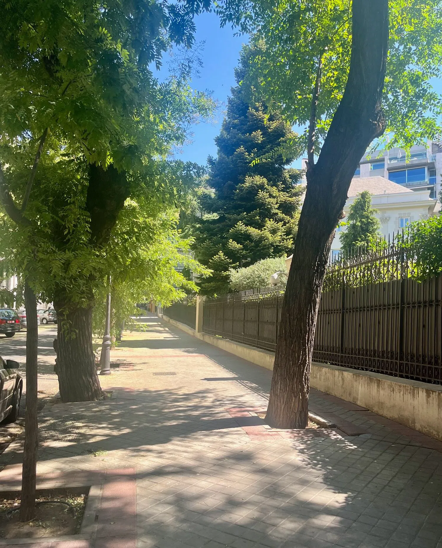 Piso en calle del Pinar, 6 Bis - Foto 11