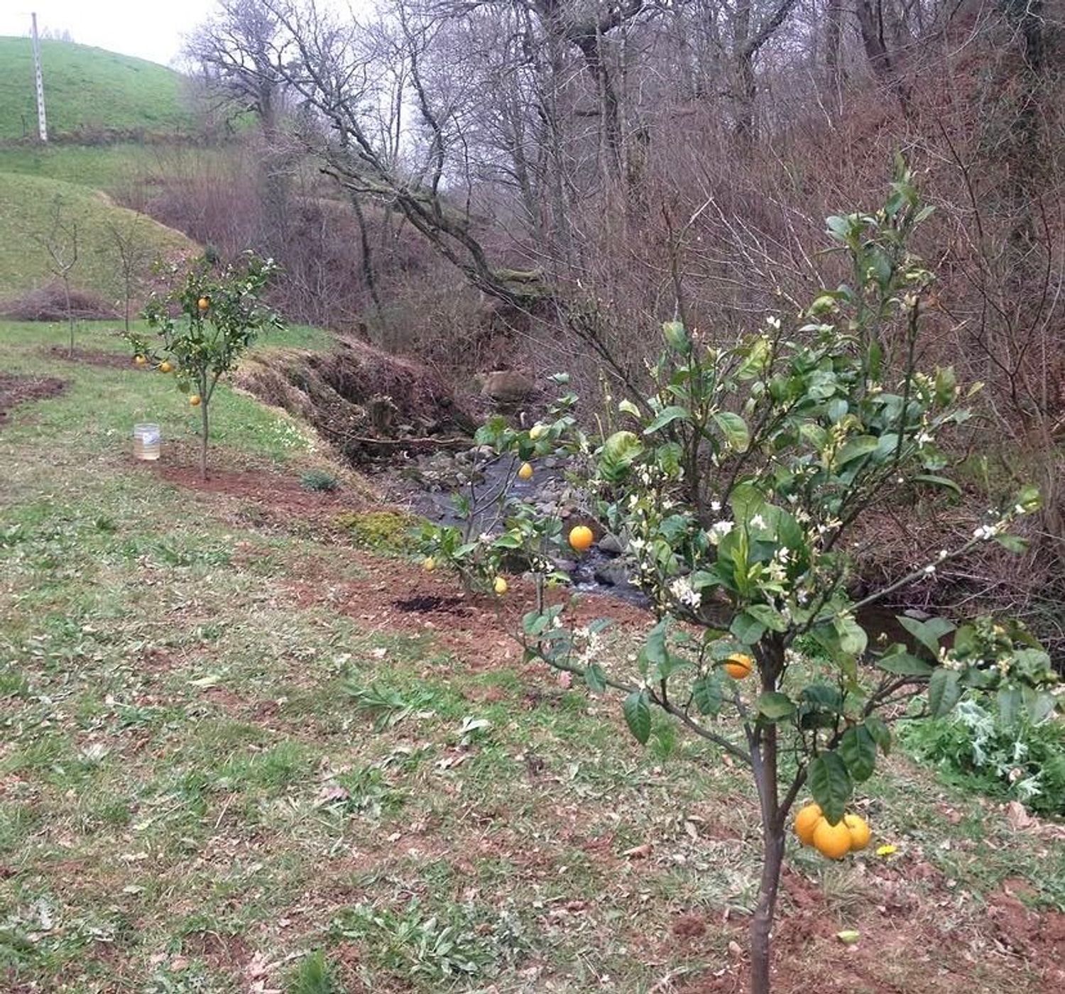 Casa de pueblo en Bastantegua s/n - Foto 7