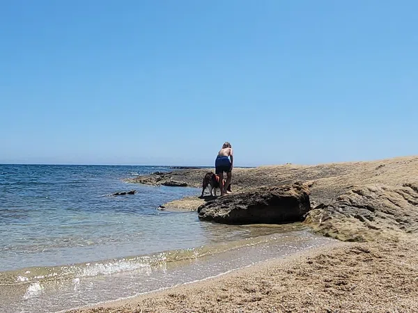 Piso en avenida Benidorm, 18 - Foto 13