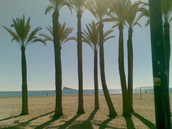 Ático en Calle de Santander, 6, Playa de Poniente - Foto 20