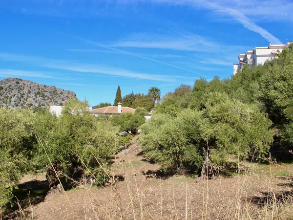 Casa rural en Avenida de Cadiz, 3 - Foto 29