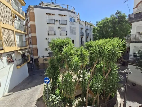 Piso en Plaza Dr Blanco Nájera s/n, San Bartolomé - Millán de Priego, San Bartolomé - Millán de Priego - Foto 2