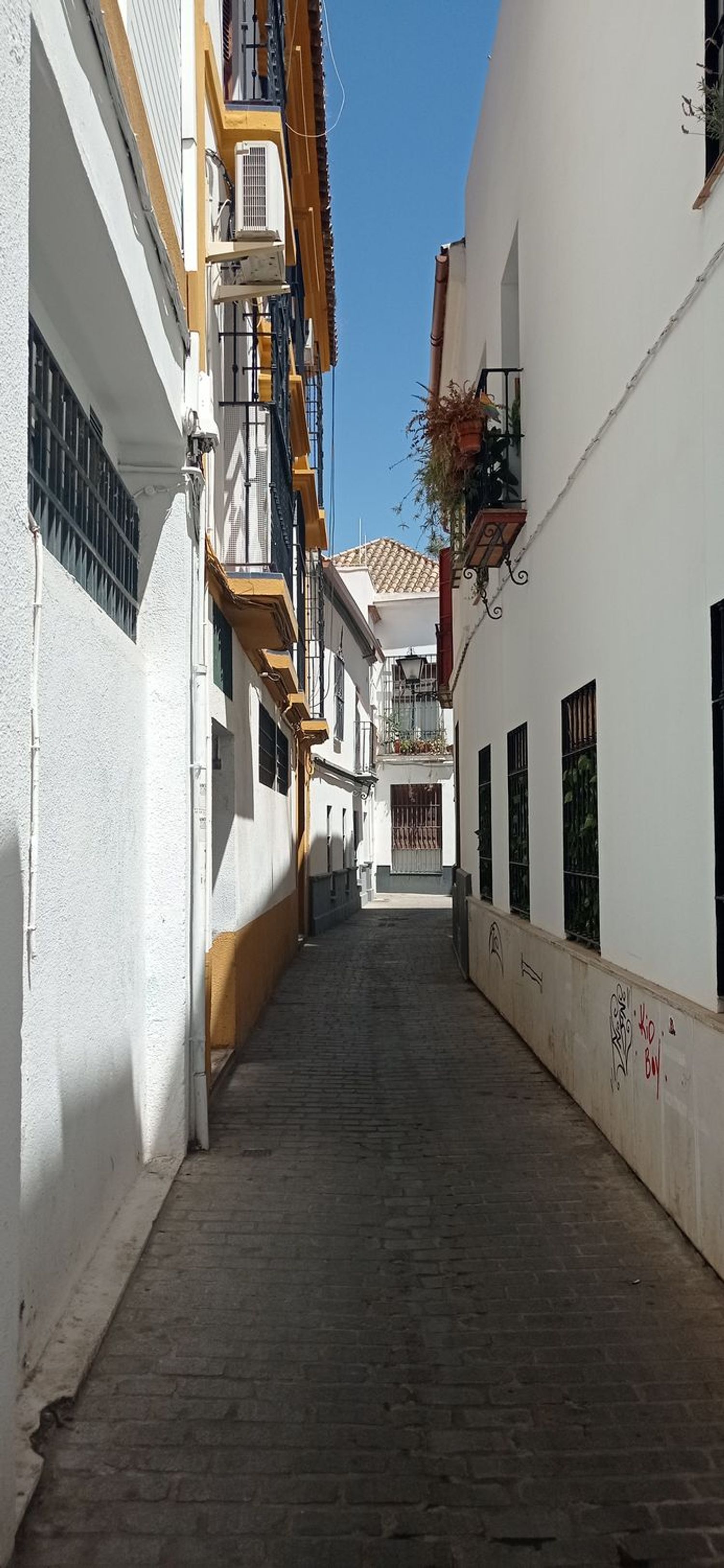 Piso en San Luis, 39 - Foto 5