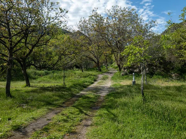 Finca rústica en Camping la Molineta, 1 - Foto 8