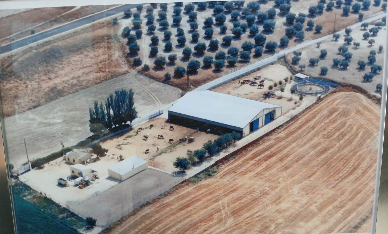 Finca rústica en Pista Cañada Real Galiana o Río, 1 - Foto 2