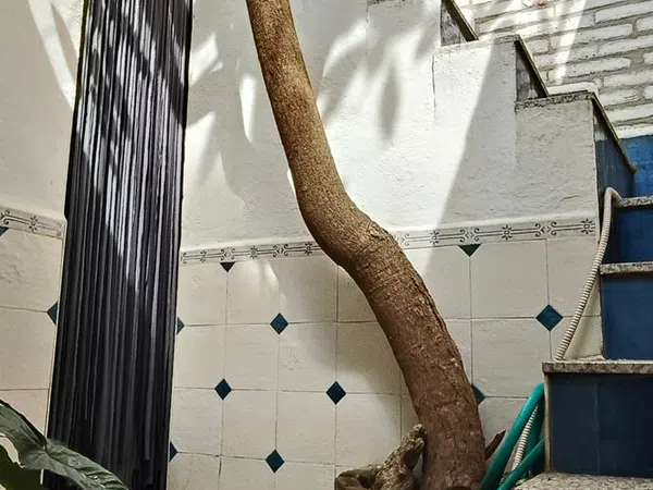 Casa independiente en calle Bailén, 24 - Foto 10