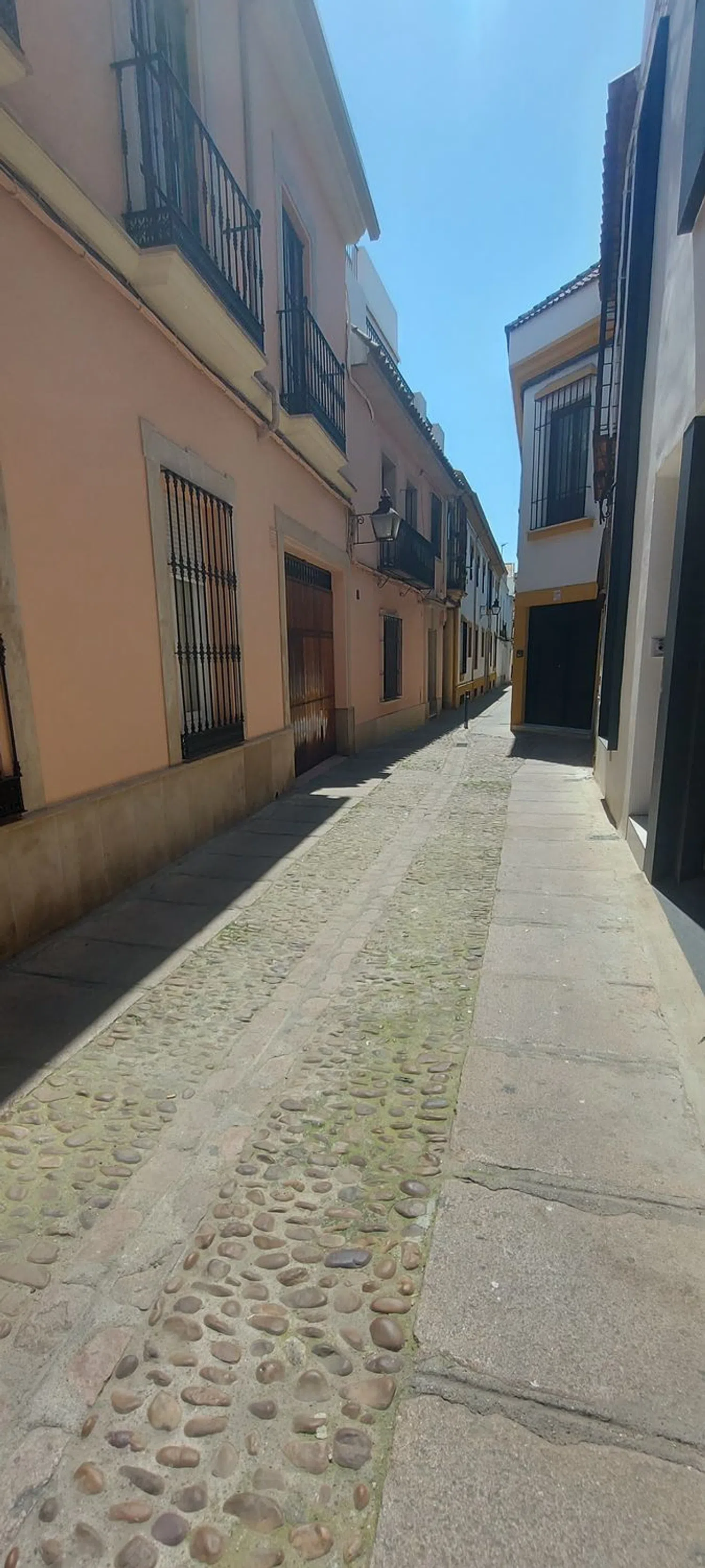 Estudio en calle Barrionuevo, 45 - Foto 13